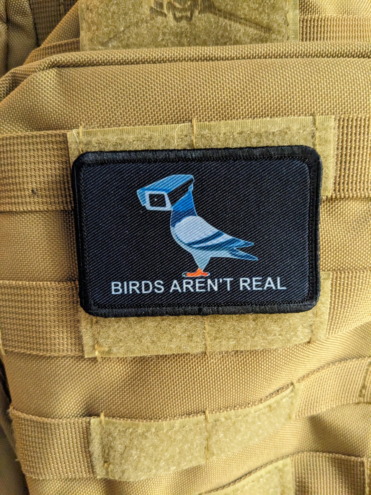 Birds aren't real conspiracy humor joke 2"x3" morale patch with hook and loop backing