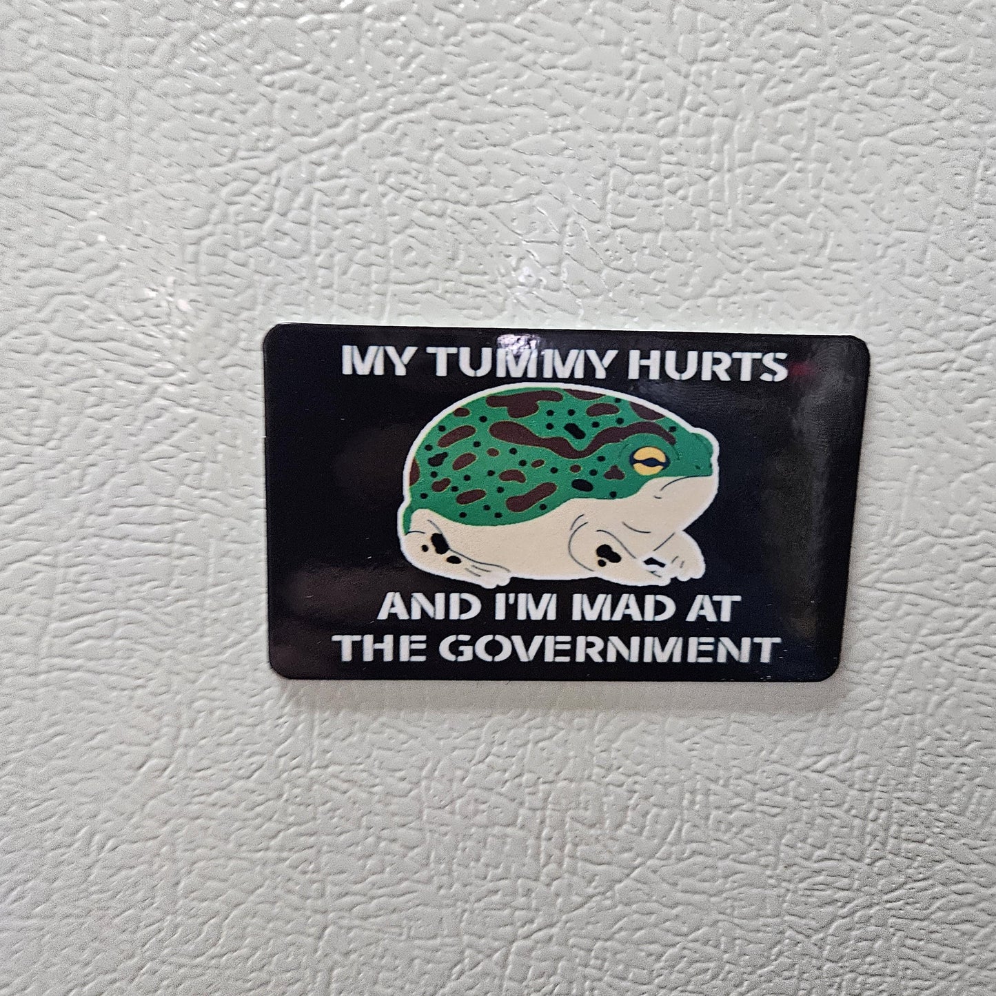 My tummy hurts and i'm mad at the government frog meme fridge magnet 2x3.5" dimensions