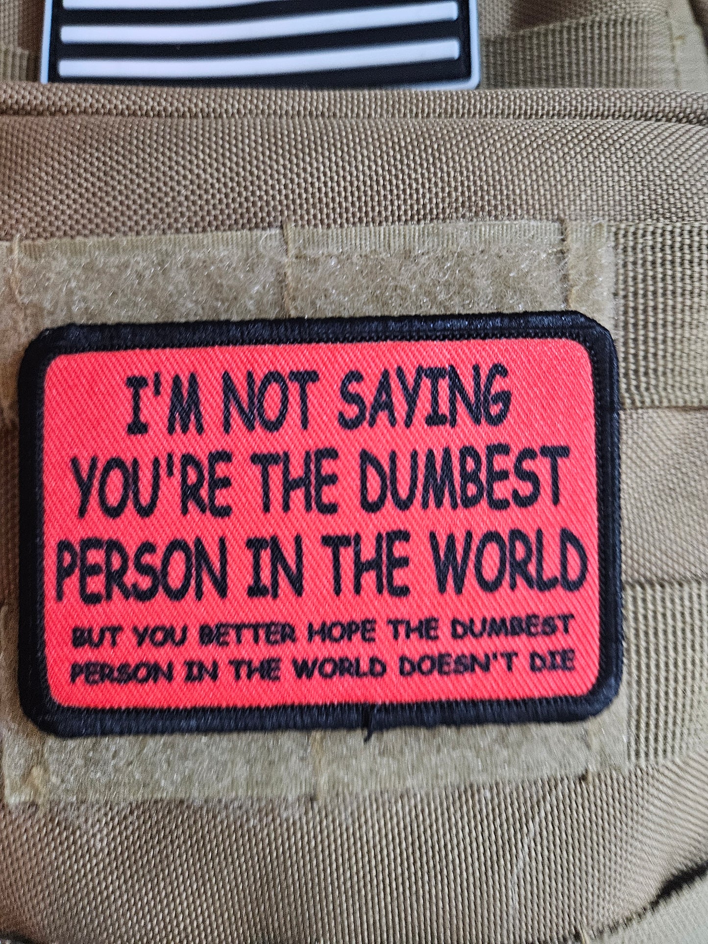 I'm not saying you're the dumbest person in the world, but you better hope the dumbest person in the world doesn't die 2"x3" removable morale patch with hook and loop backing