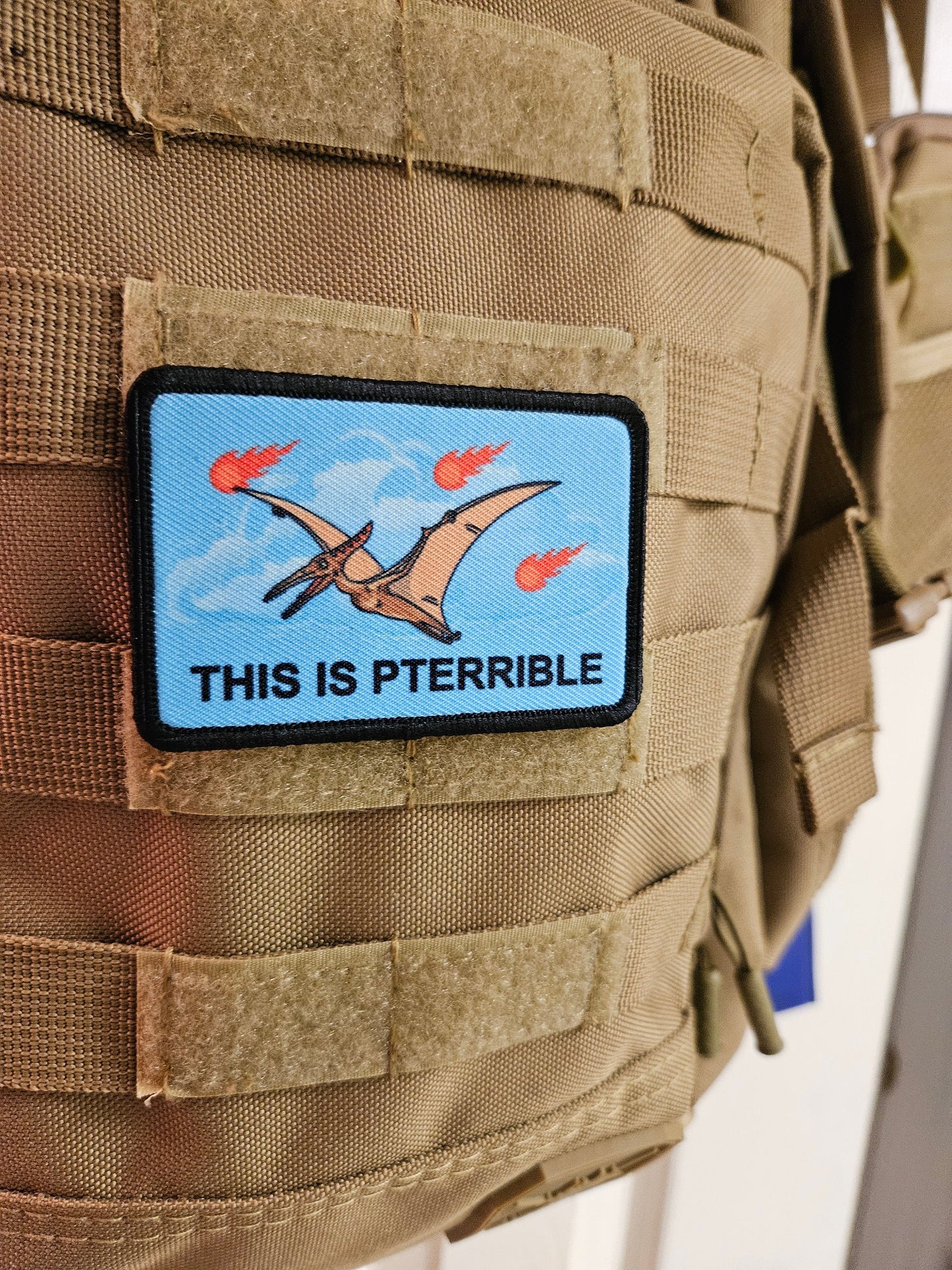 This is pterrible pterodactyl meme 2"x3" morale patch with hook and loop backing