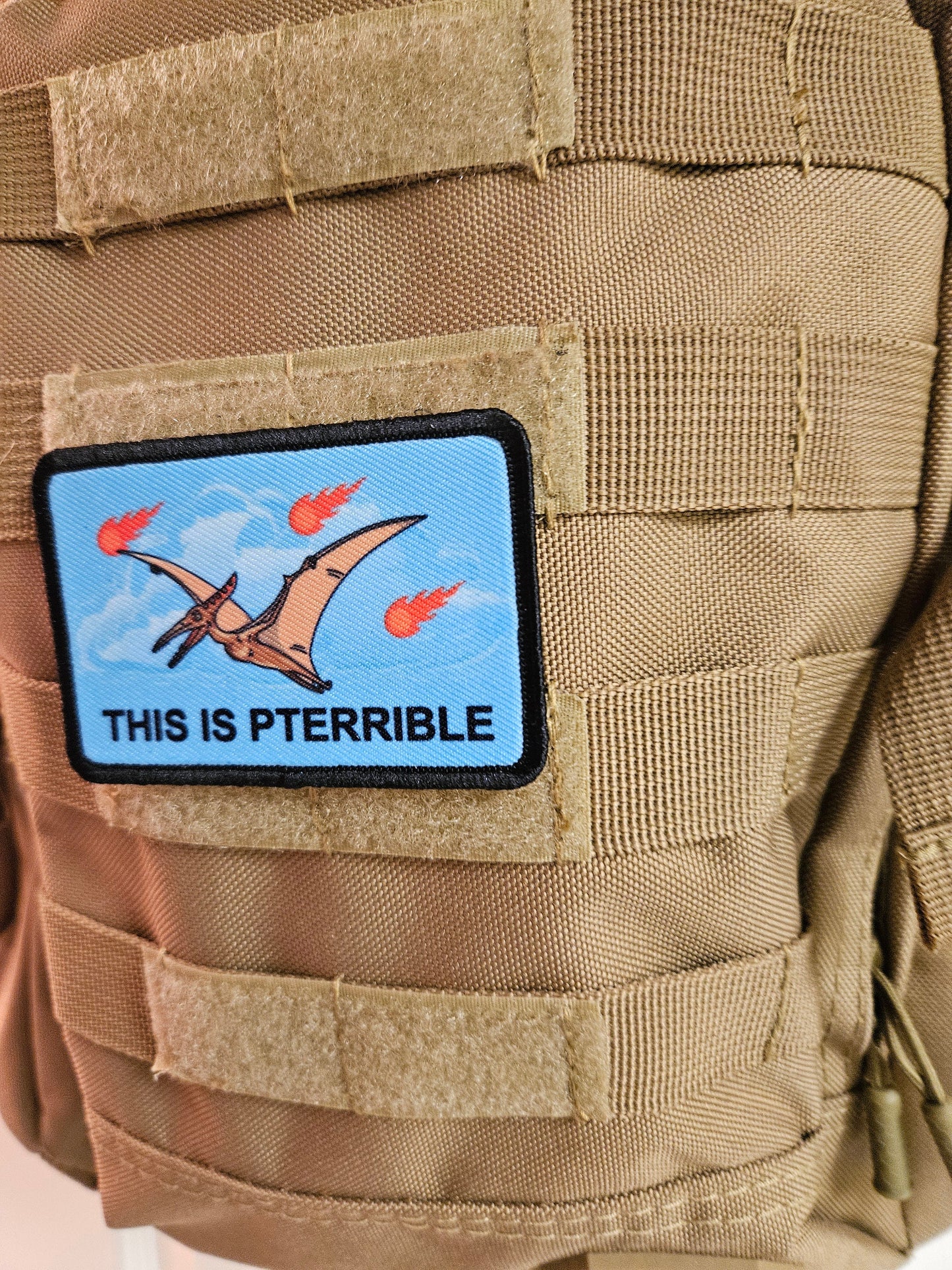 This is pterrible pterodactyl meme 2"x3" morale patch with hook and loop backing