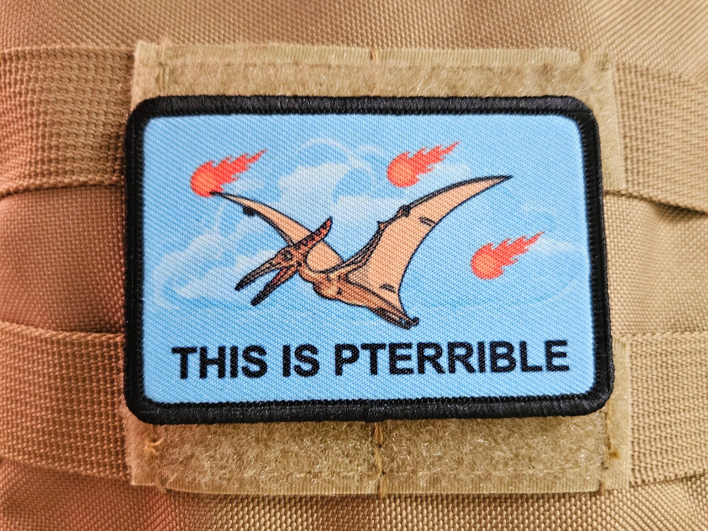 This is pterrible pterodactyl meme 2"x3" morale patch with hook and loop backing