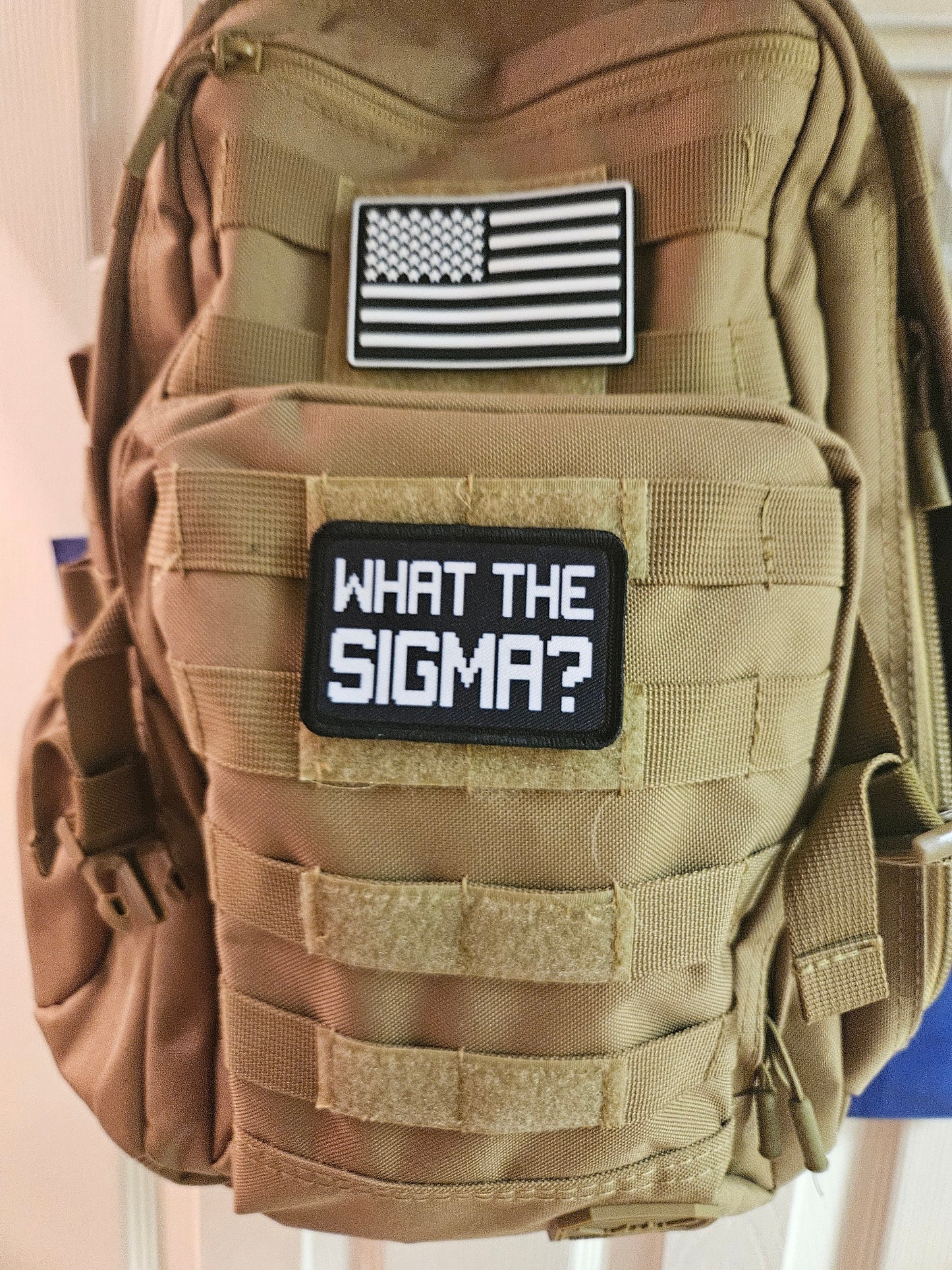 What the sigma meme  2"x3" morale patch with hook and loop backing