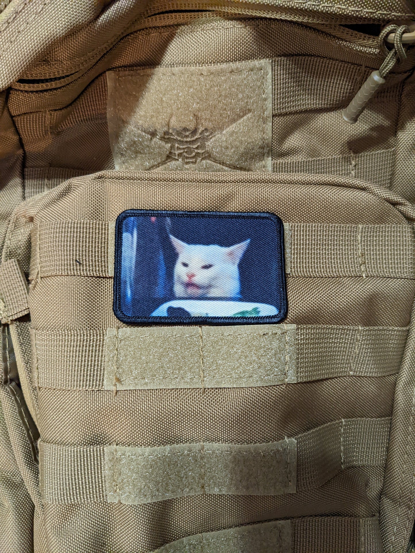 cat meme funny  2"x3" morale patch with hook and loop backing