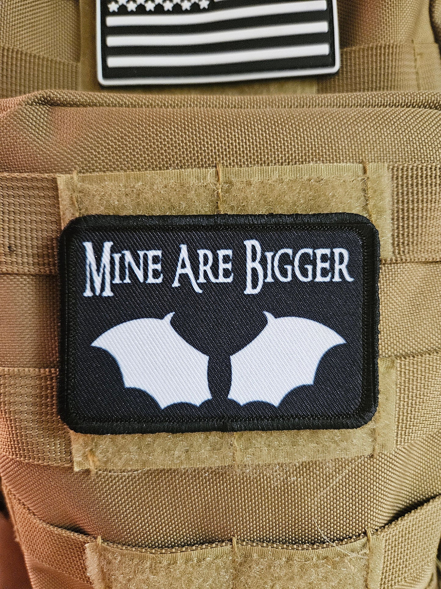 Mine are bigger bat wings fae fairy fantasy meme 2"x3" morale patch with hook and loop backing