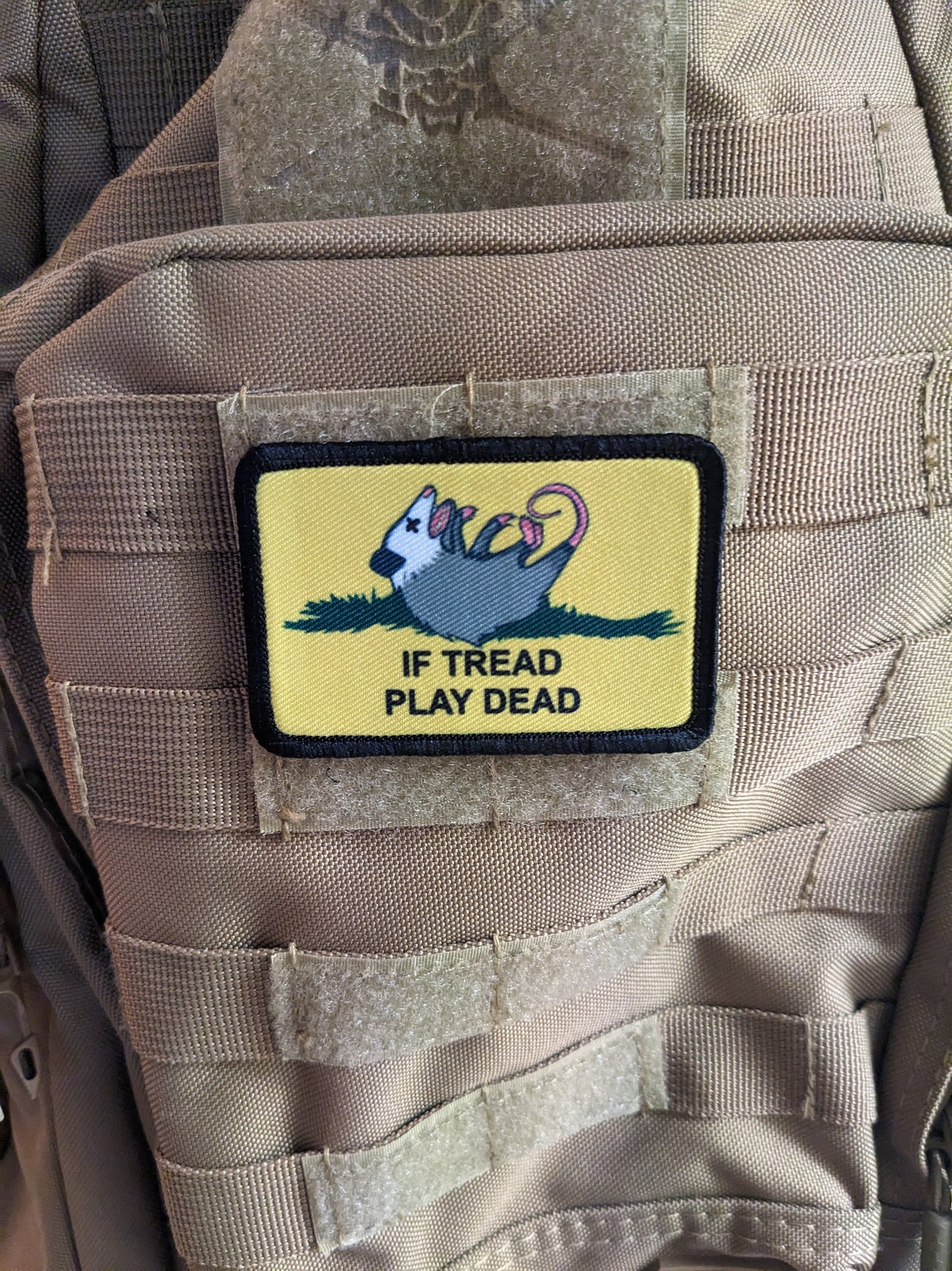 If Tread play dead possum joke Gadsden flag meme  2"x3" removable morale patch with hook and loop backing