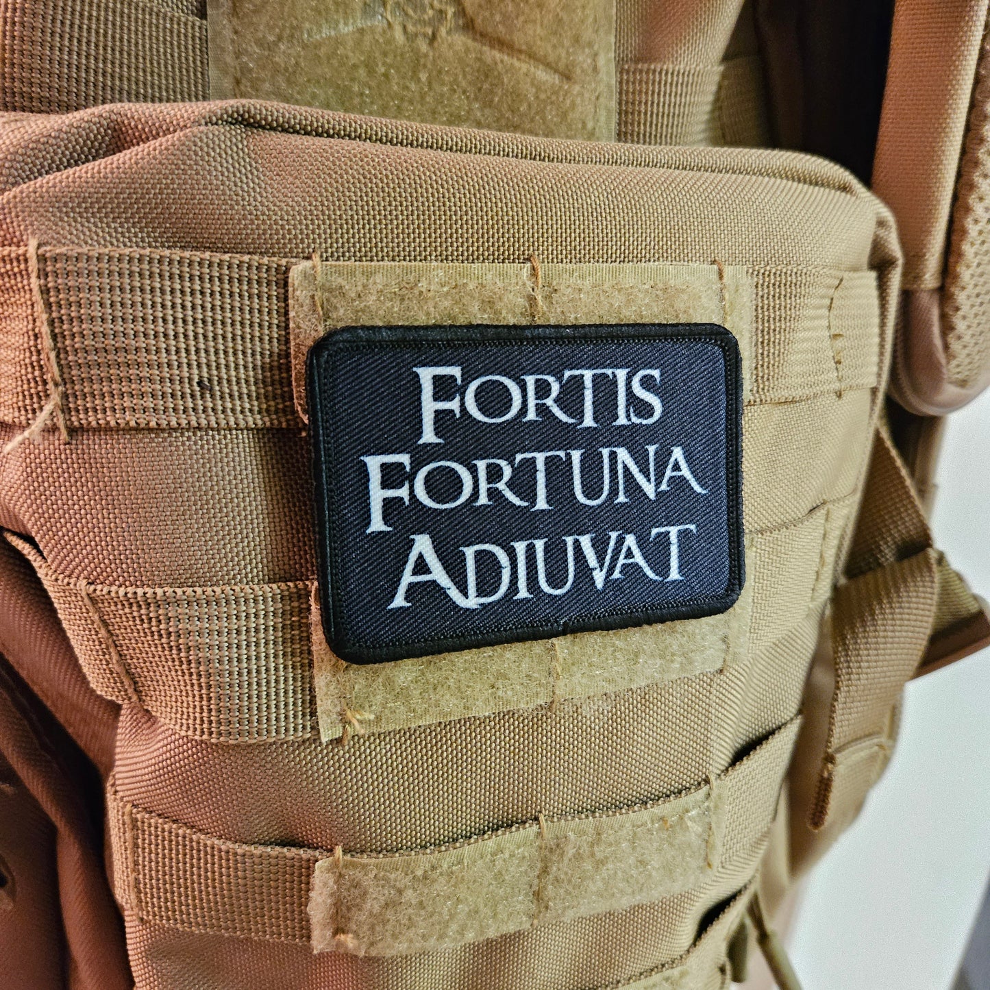 Fortis Fortuna Adiuvat fortune favors the bold 2"x3" morale patch with hook and loop backing