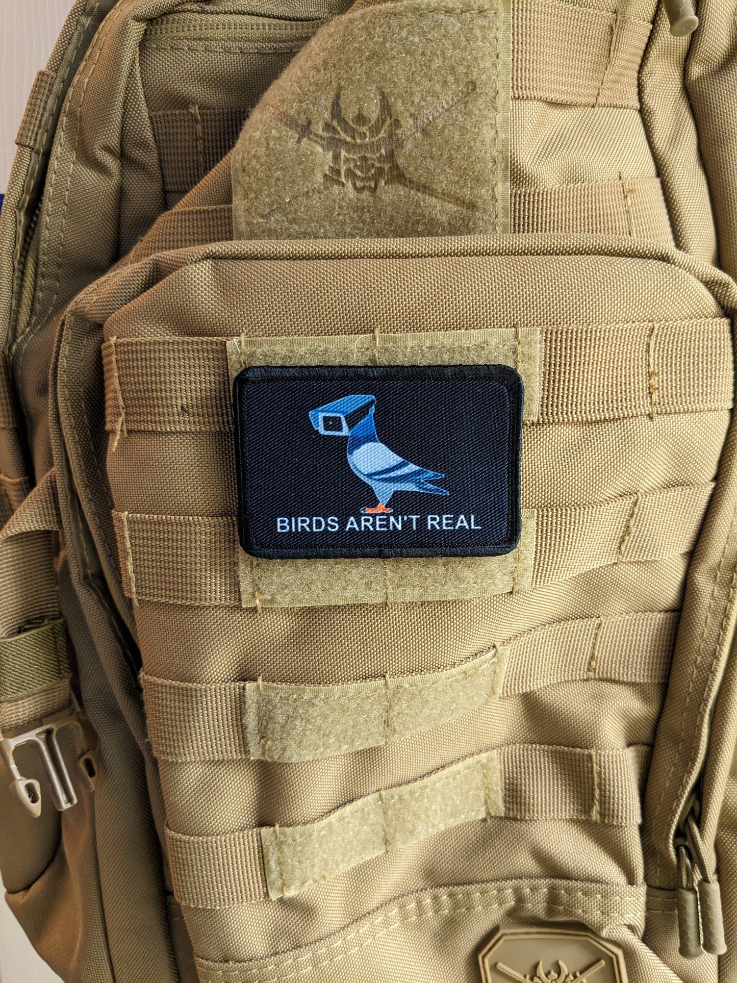 Birds aren't real conspiracy humor joke 2"x3" morale patch with hook and loop backing