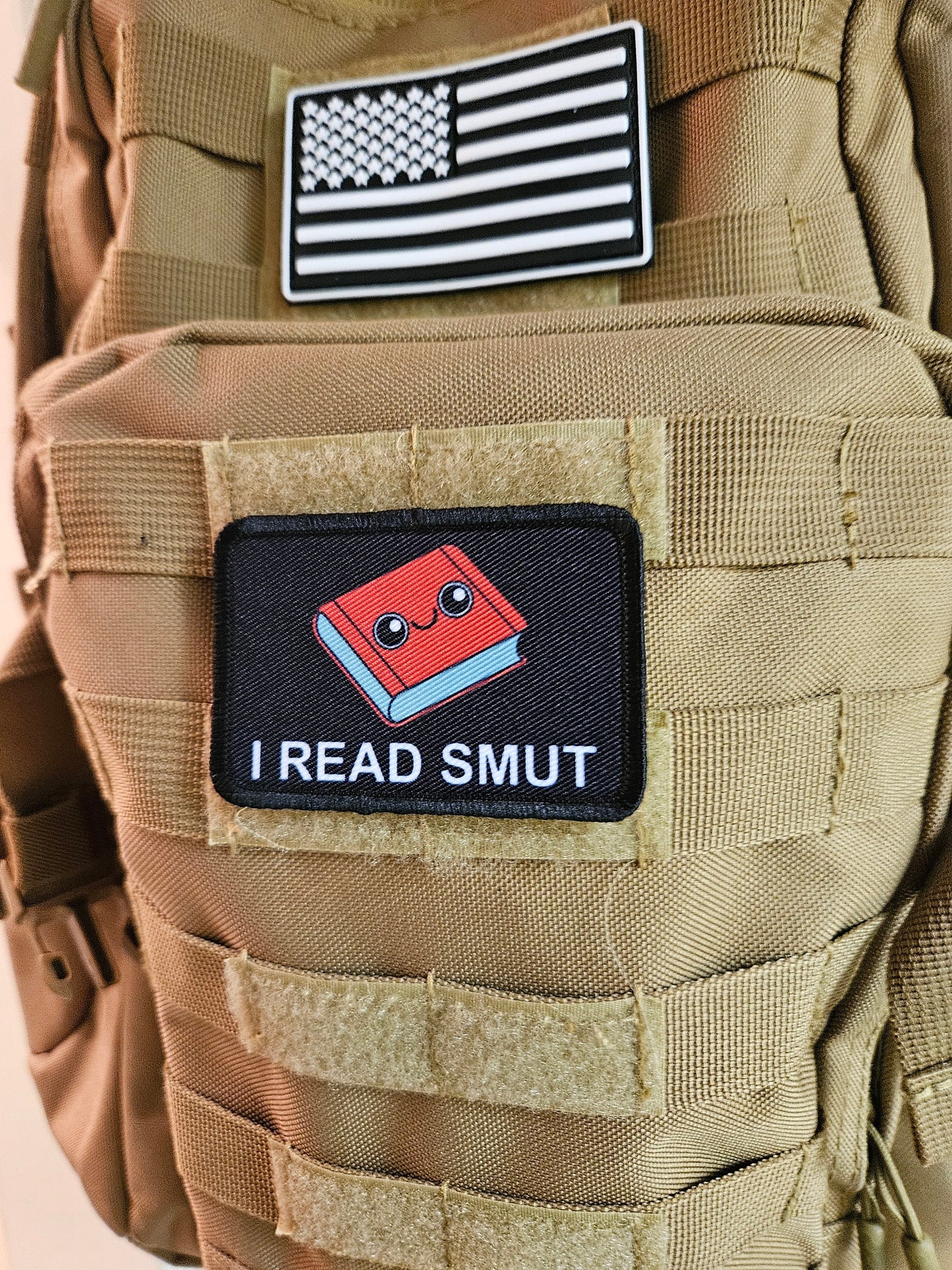 I read smut spicy books meme 2"x3" removable morale patch with hook and loop backing