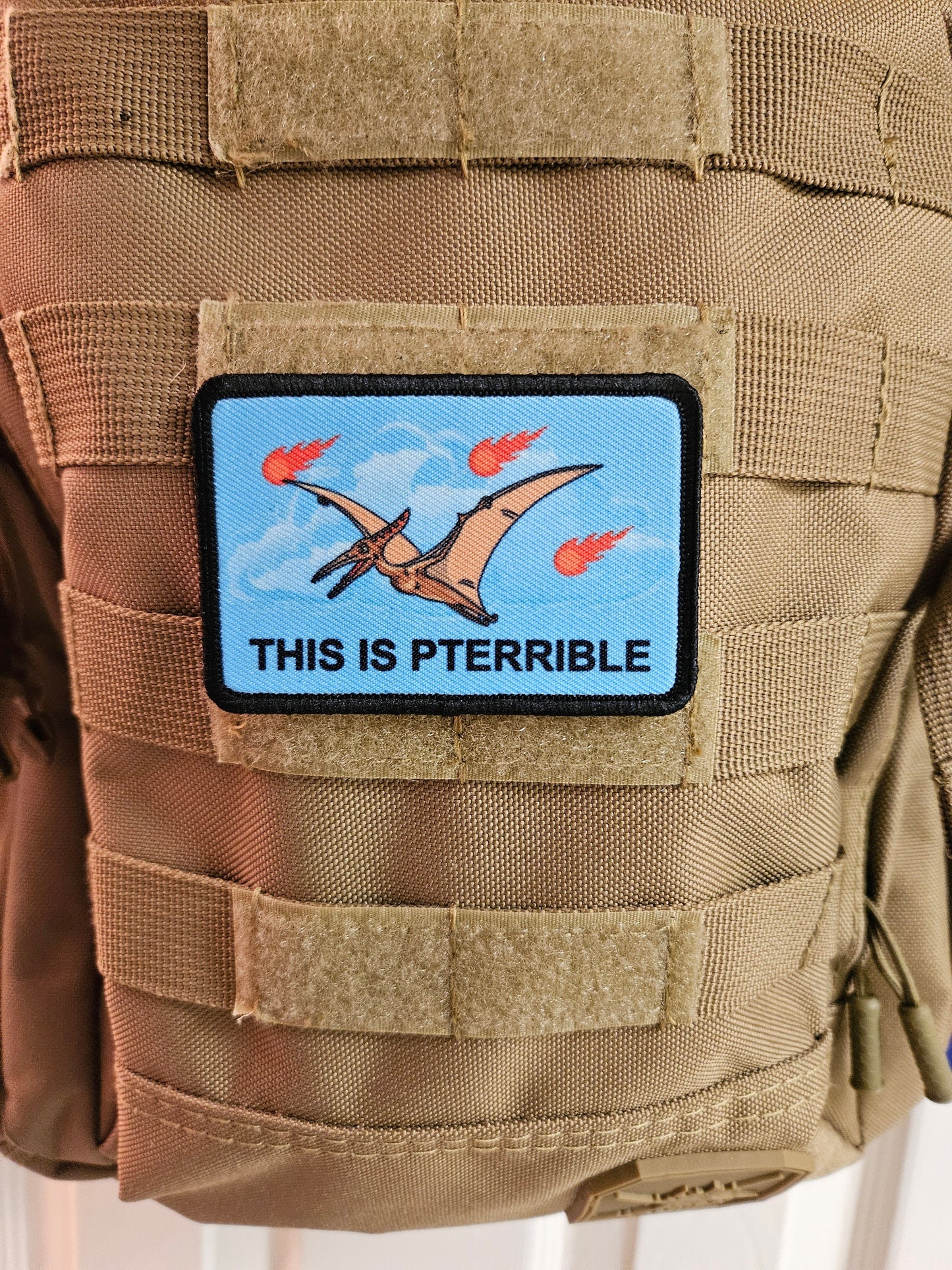 This is pterrible pterodactyl meme 2"x3" morale patch with hook and loop backing