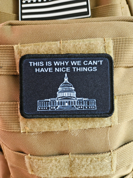 The government is why we cant have nice things meme  2"x3" removable morale patch with hook and loop backing