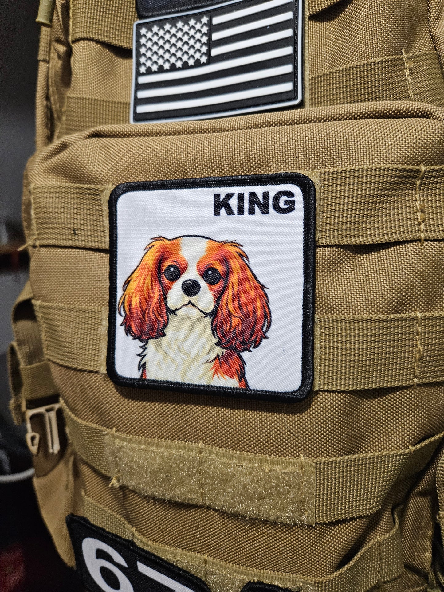3x3" square morale patch cavalier king Charles spaniel  KING patch dog pets puppy pug-life  with hook and loop backing