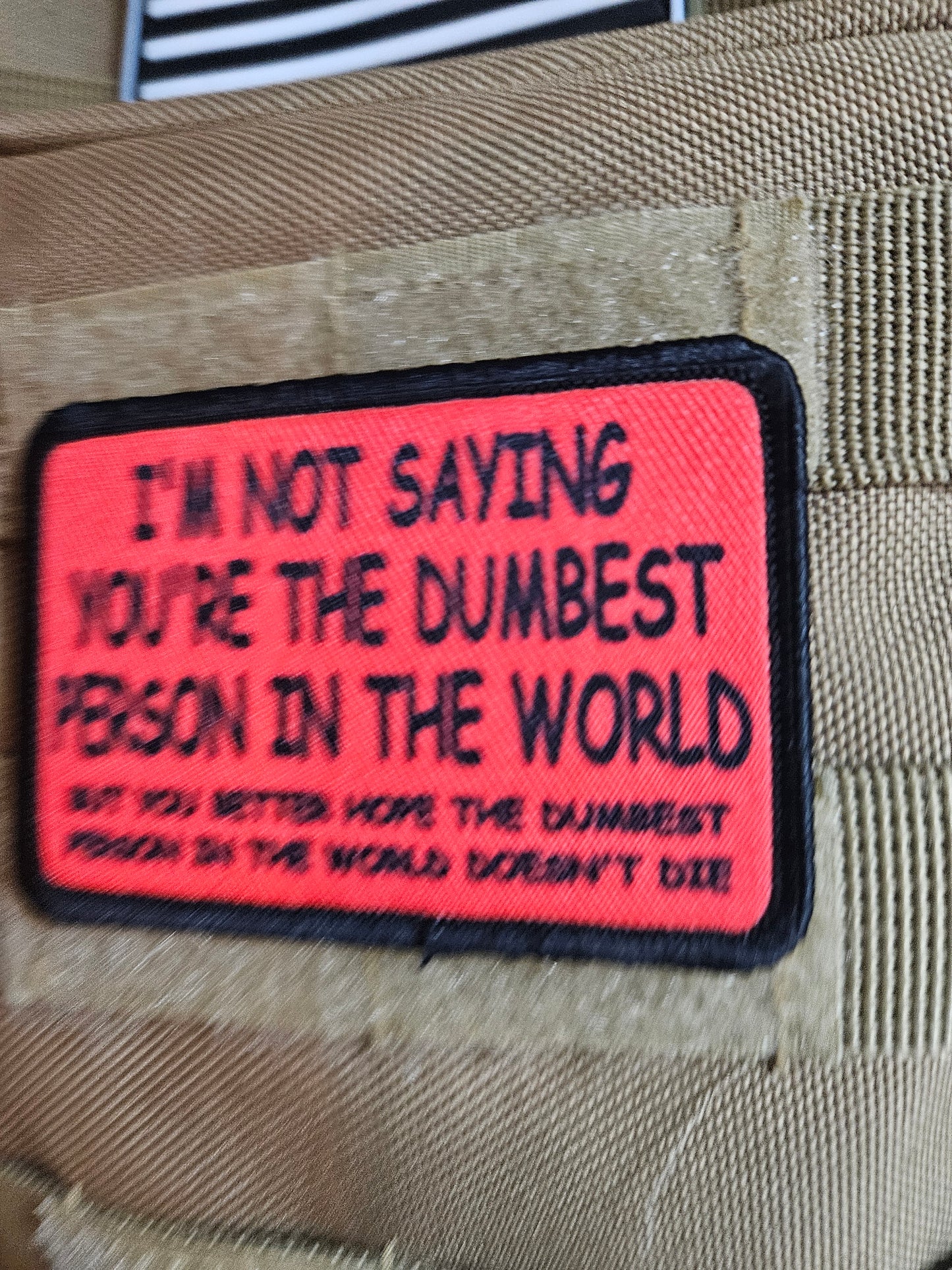 I'm not saying you're the dumbest person in the world, but you better hope the dumbest person in the world doesn't die 2"x3"  removable morale patch with hook and loop backing