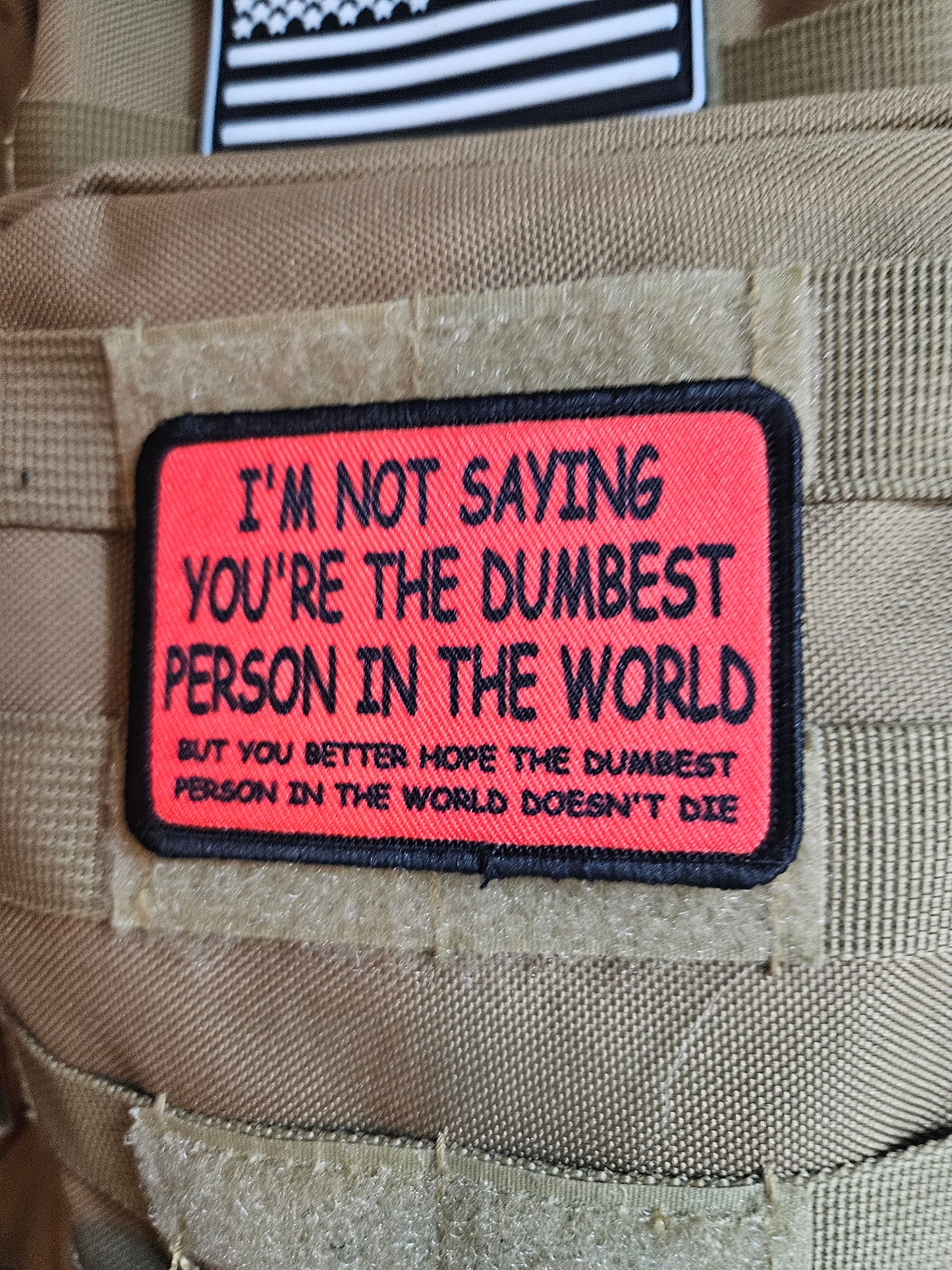I'm not saying you're the dumbest person in the world, but you better hope the dumbest person in the world doesn't die 2"x3"  removable morale patch with hook and loop backing