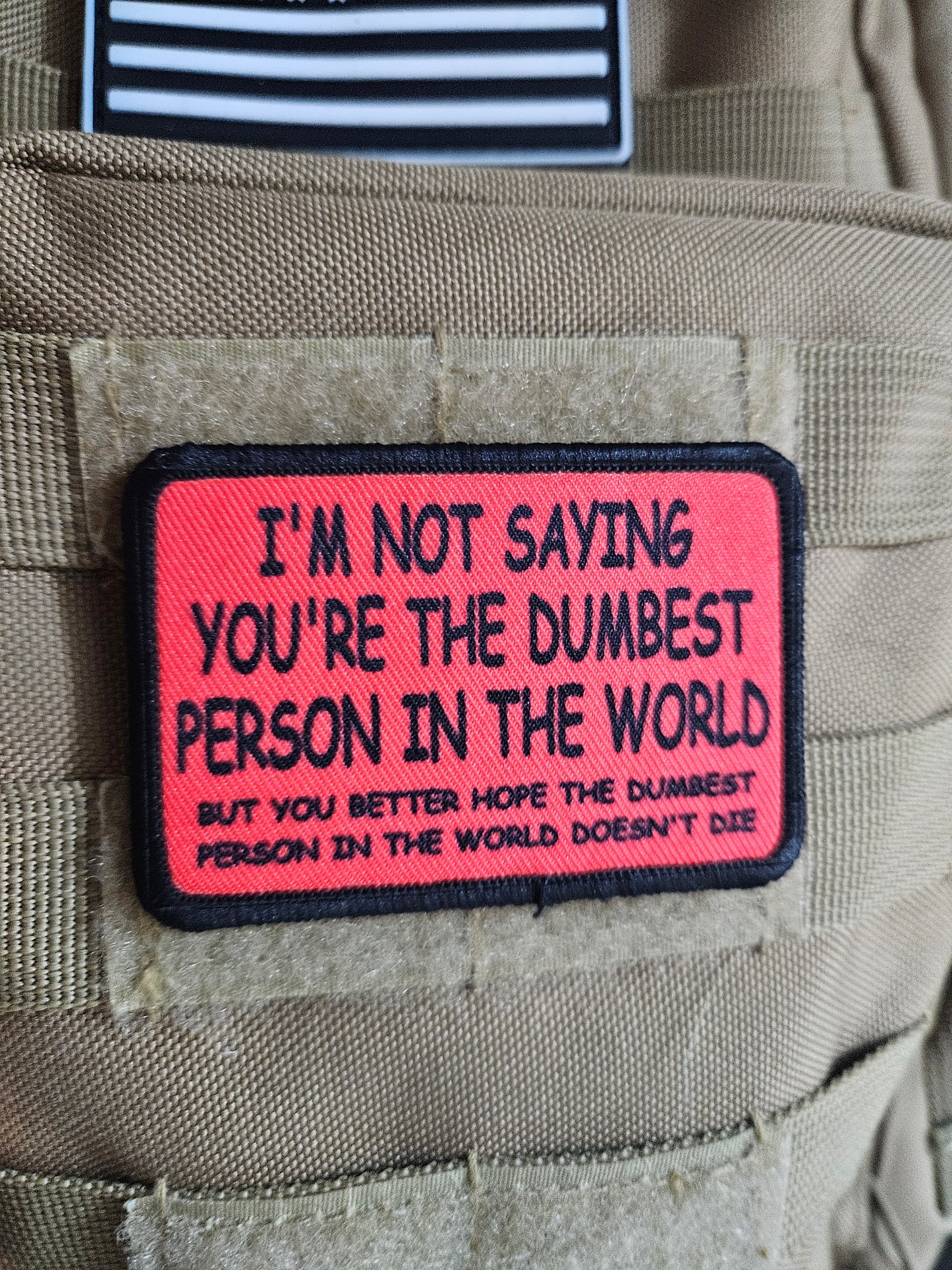 I'm not saying you're the dumbest person in the world, but you better hope the dumbest person in the world doesn't die 2"x3"  removable morale patch with hook and loop backing