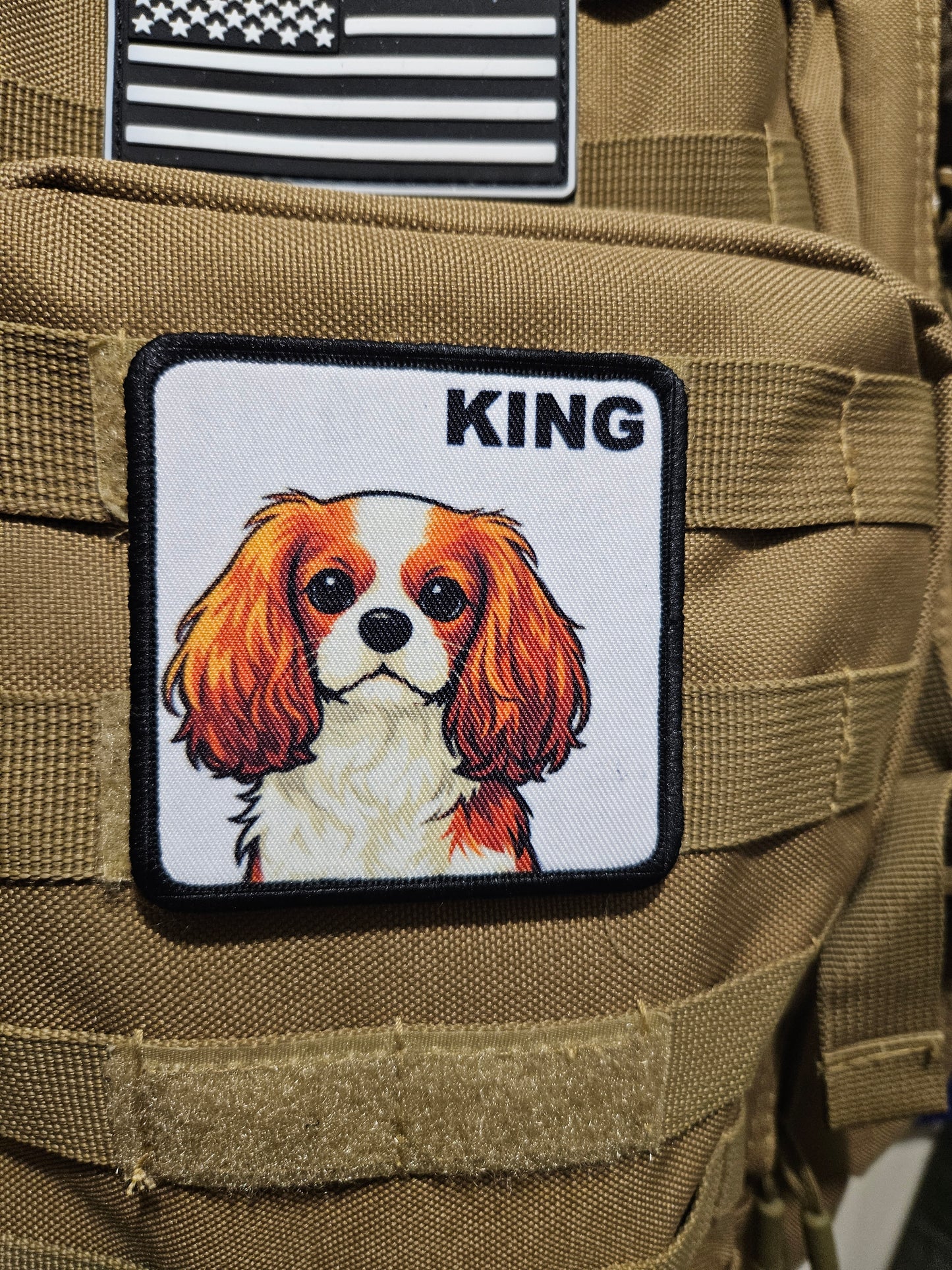 3x3" square morale patch cavalier king Charles spaniel  KING patch dog pets puppy pug-life  with hook and loop backing