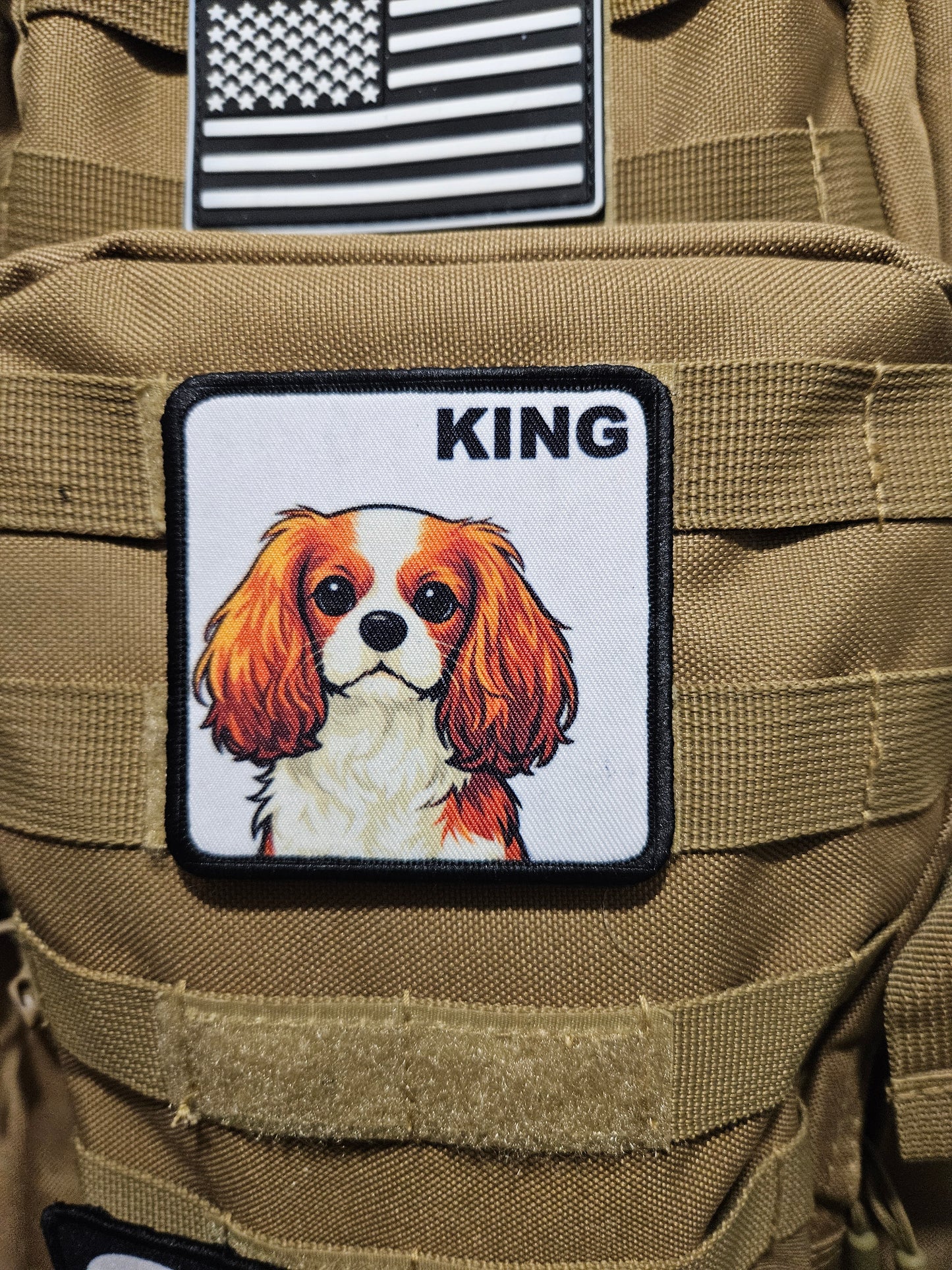 3x3" square morale patch cavalier king Charles spaniel  KING patch dog pets puppy pug-life  with hook and loop backing